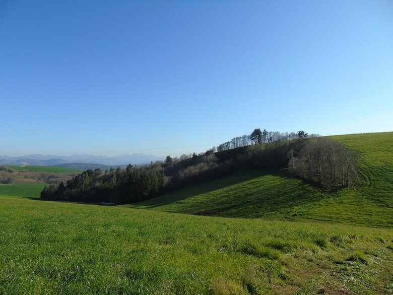 Apartamentos Buenavista Tineo