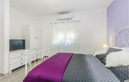 Four-bedroom Holiday Home In Pinezici