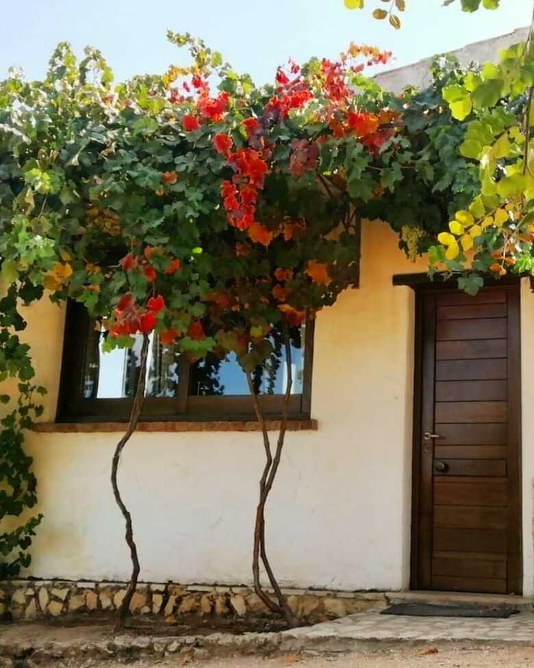 Bed & Breakfast Badde Cubas