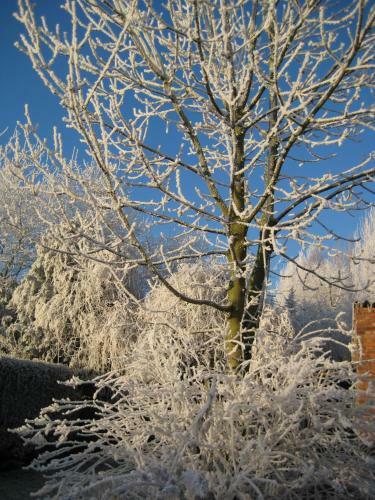 B&B Het Uilennest