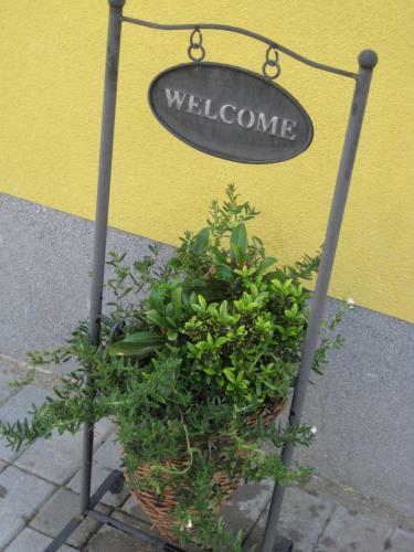 B&B Het Uilennest