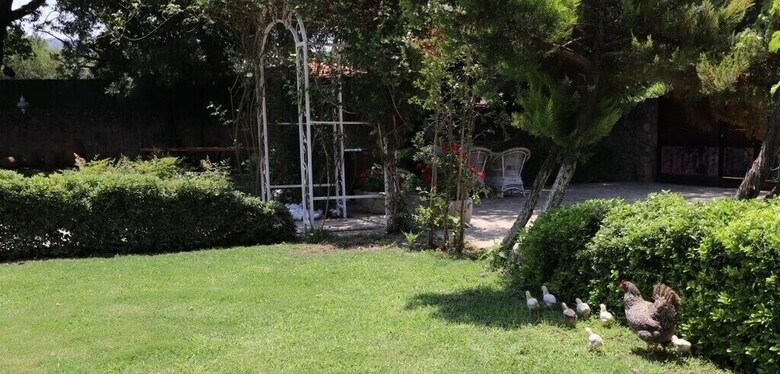 Villa Bln1 By Joylettings