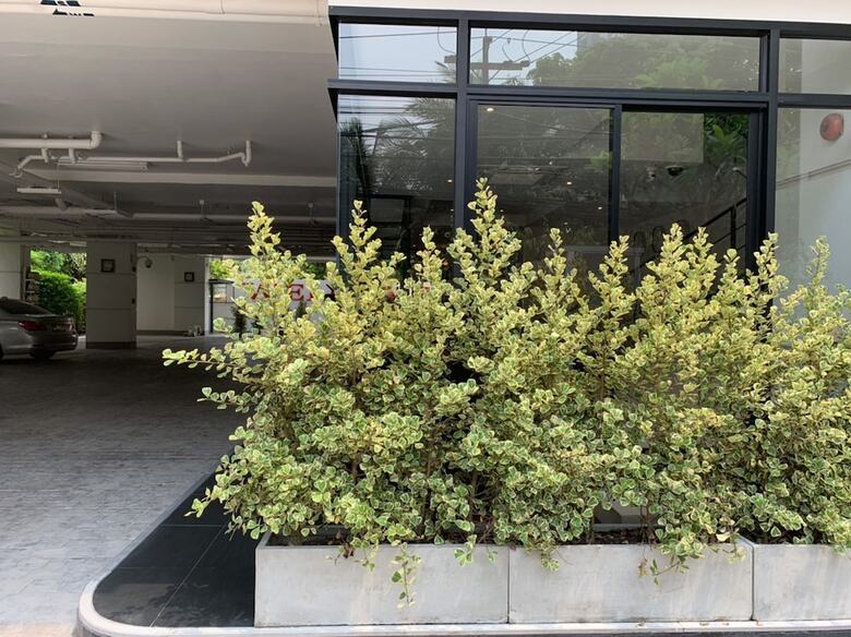 Aparthotel Pacific Residence 39