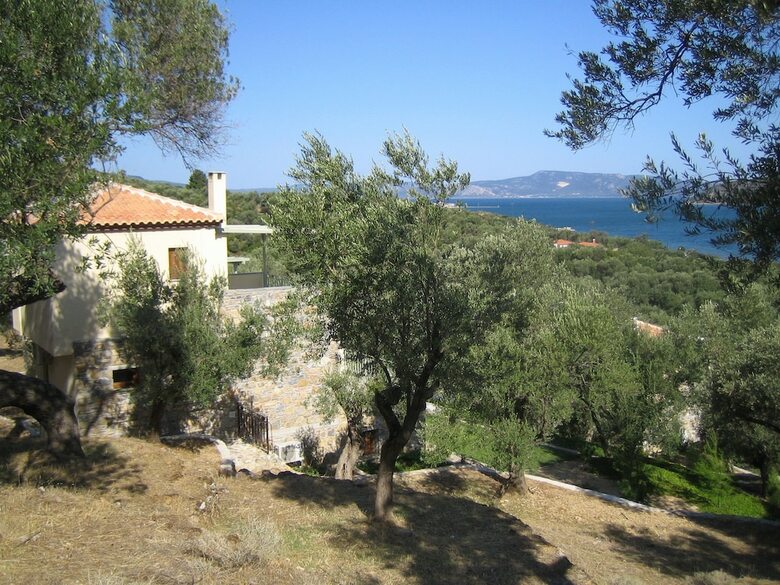Hotel Gera's Olive Grove