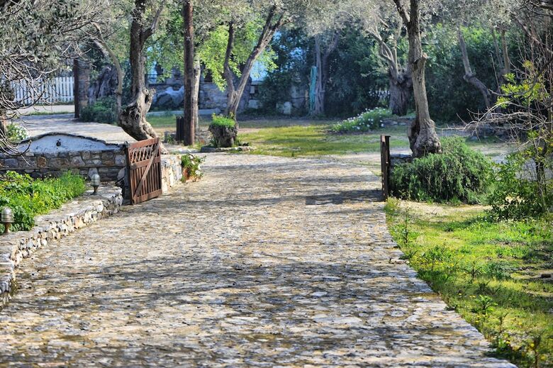 Hotel Gera's Olive Grove