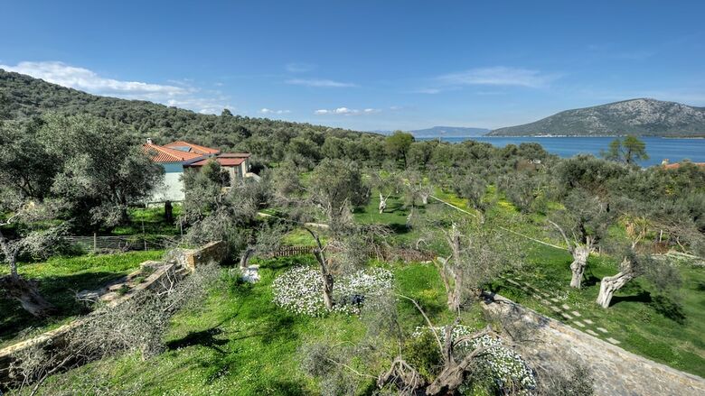 Hotel Gera's Olive Grove