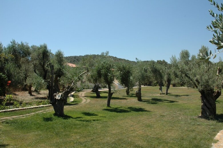 Hotel Gera's Olive Grove