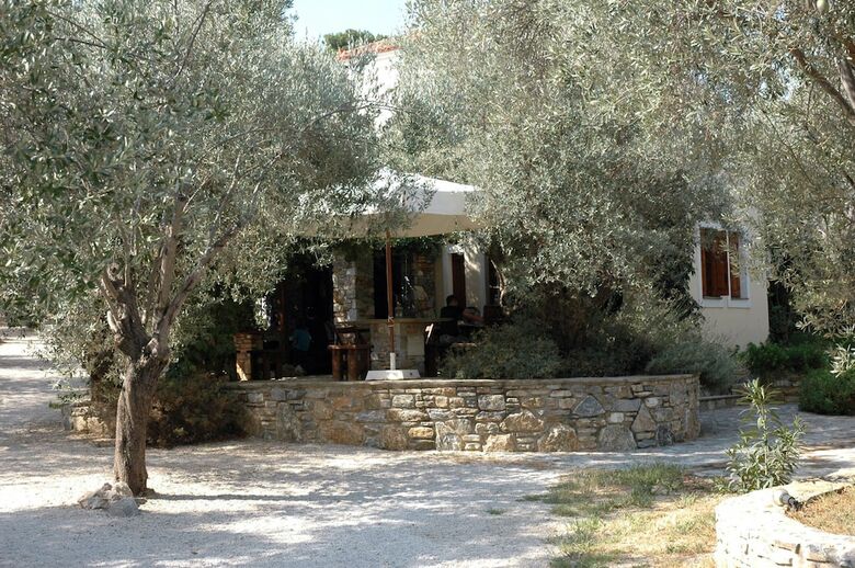 Hotel Gera's Olive Grove