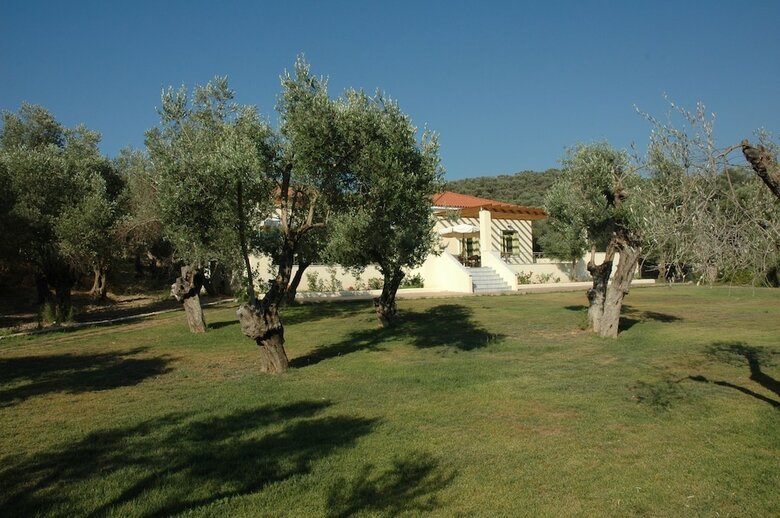 Hotel Gera's Olive Grove