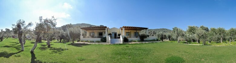 Hotel Gera's Olive Grove