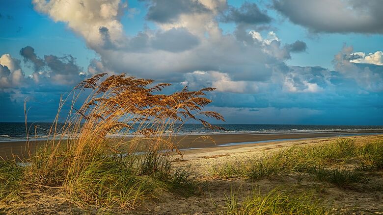 Apartamento Disney's Hilton Head Island Resort