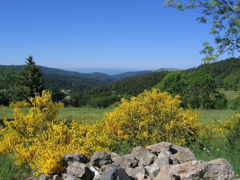 Bed & Breakfast L'horizon Vert