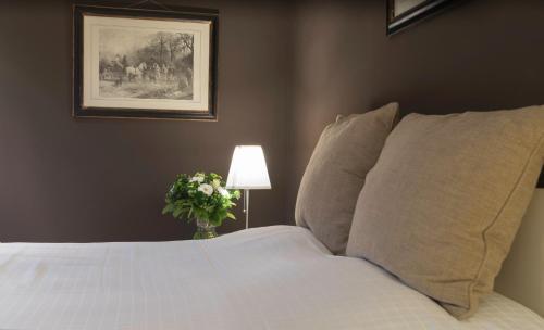 B&B Hippocampus