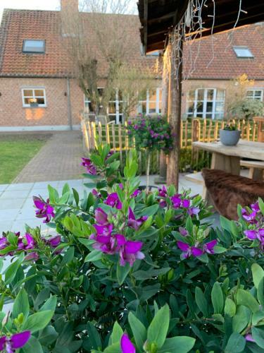 B&B De Frimethe