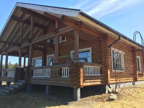 Hostal Ollinm�ki Vineyard