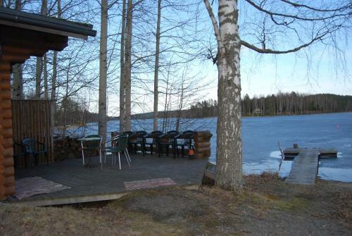 Hostal Ollinm�ki Vineyard
