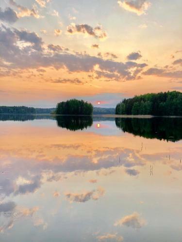 Hostal Ollinm�ki Vineyard