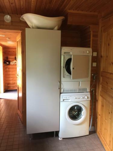 Hostal Ollinm�ki Vineyard