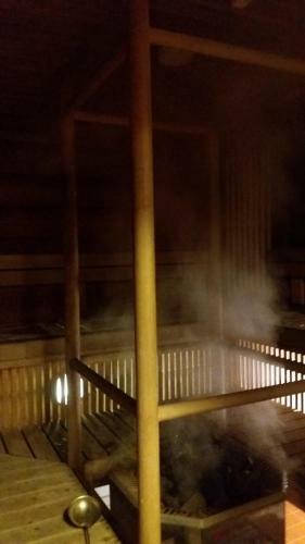 Hostal Ollinm�ki Vineyard