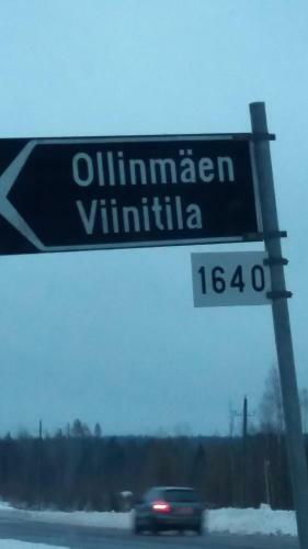 Hostal Ollinm�ki Vineyard
