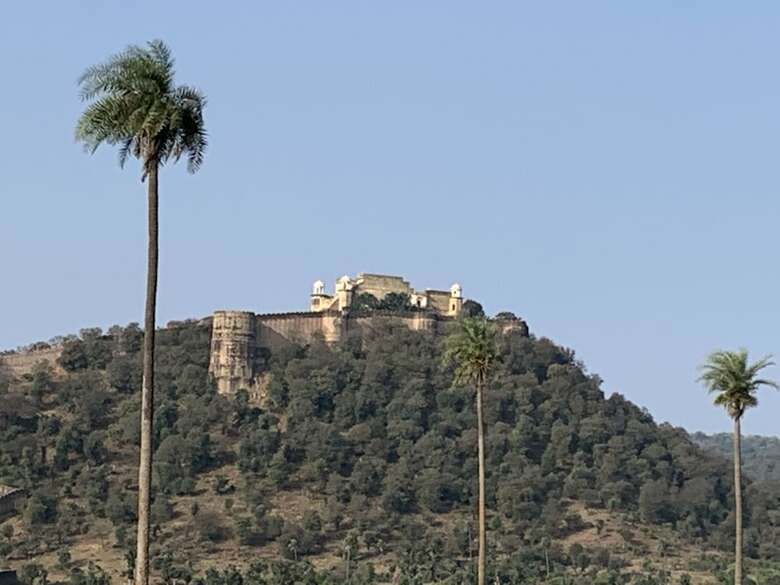 Hotel Sariska Manor
