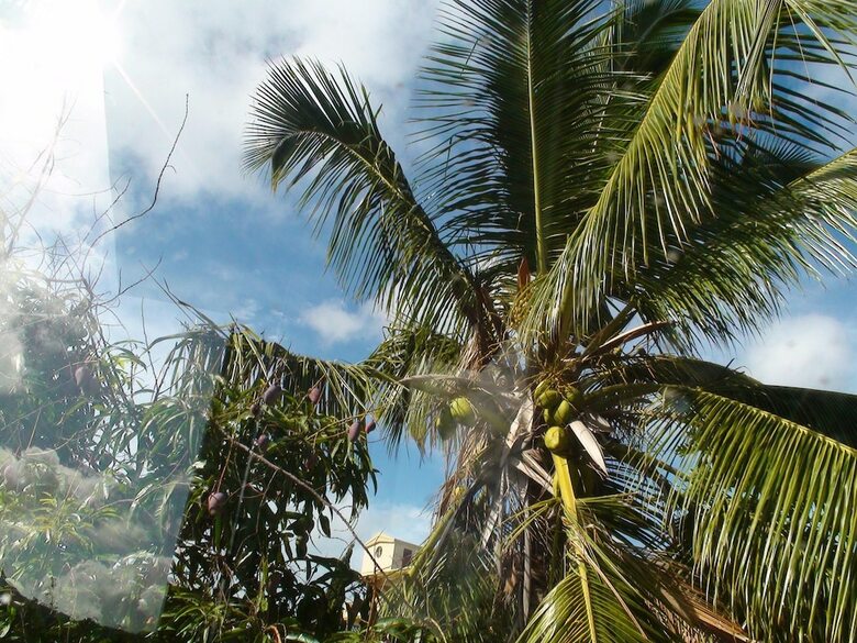 House With 3 Bedrooms In Coromandel, With Wifi