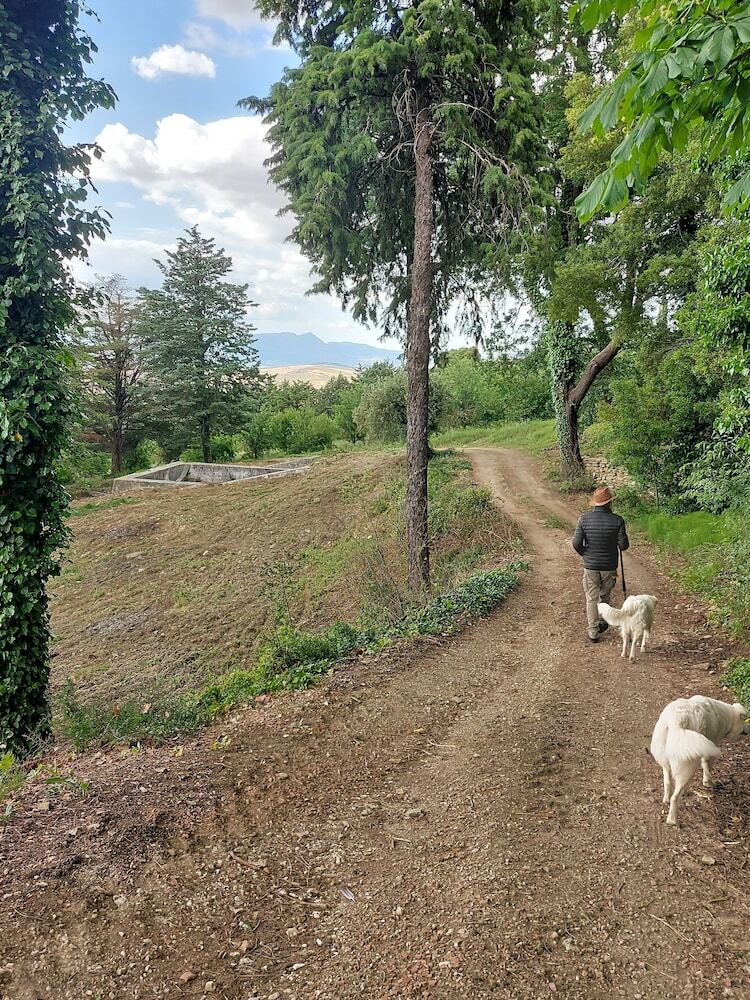 Agroturismo Chiosi Country Club