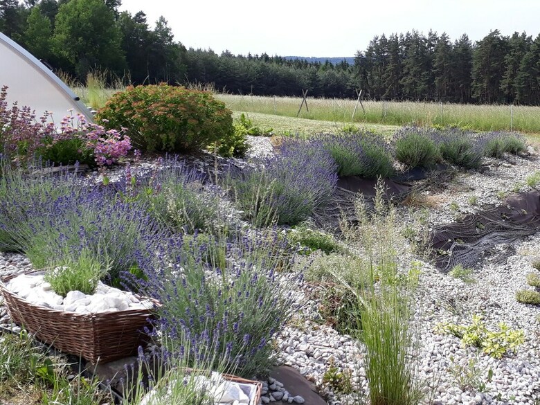 Spacious Country House With Pool In A Lovely, Sloping And Forest Environment
