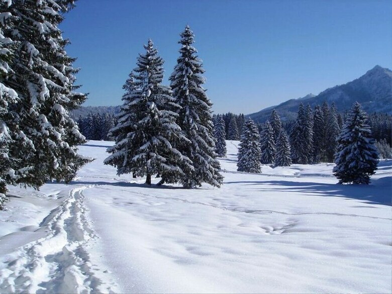 Exquisite Apartment In Steingaden Near Ski Area