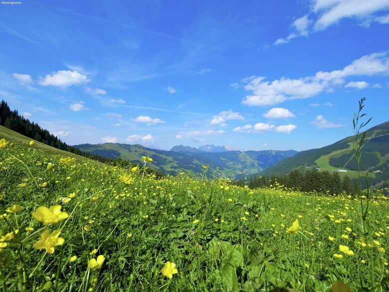 Luxury Holiday Home With Garden In Leogang