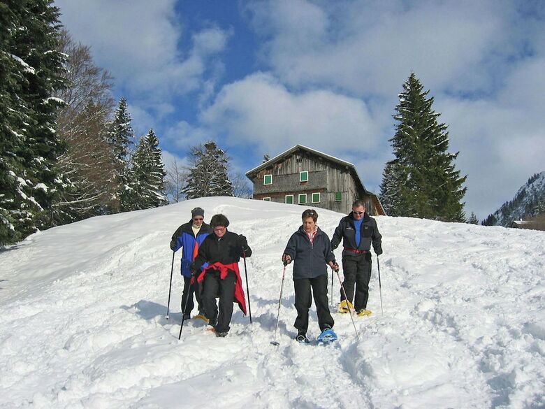 Cosy Holiday Home In Egg Near Ski Area