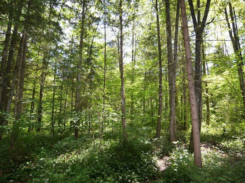 Charming Apartment In Sch�nau Am K�nigsee With Barbecue