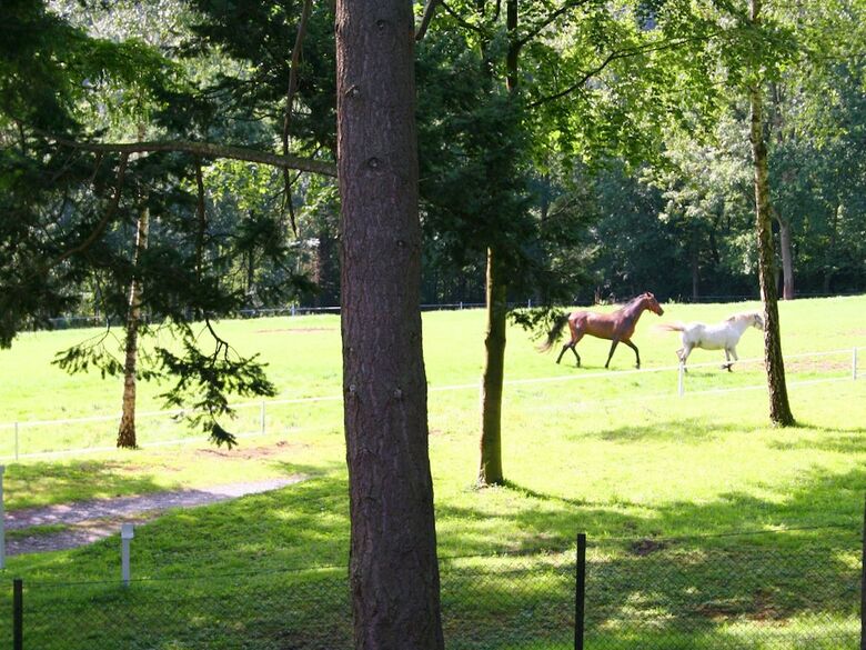 Spacious Farmhouse In Fontenelle With Garden