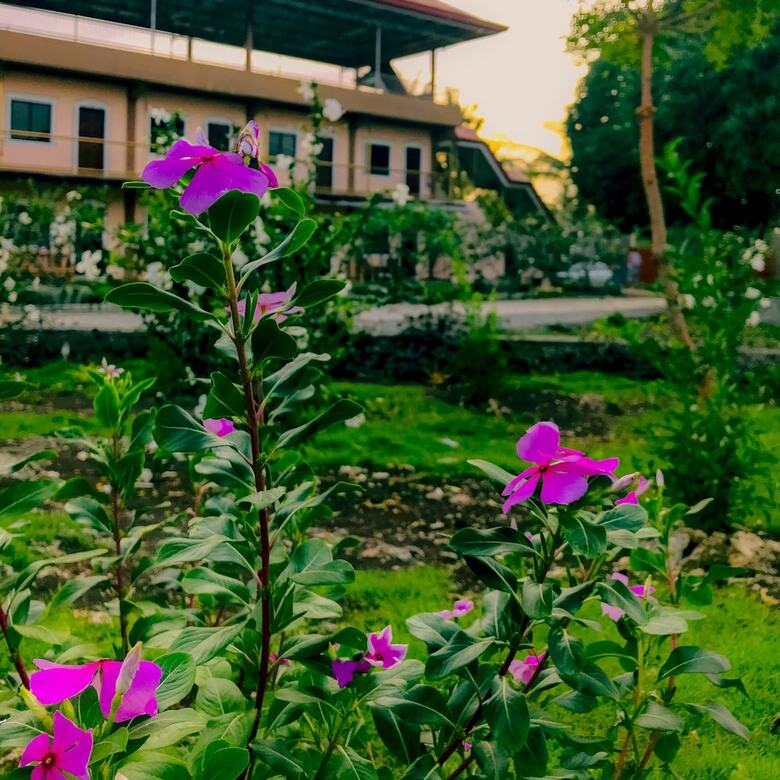 Apartamento La Plumerias