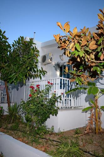 Aparthotel Aspro Spiti