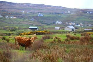 Fernhill Farmhouse B&B