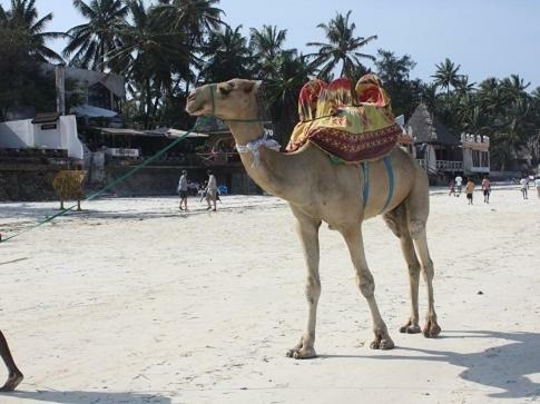 Kenya Bay Beach Hotel