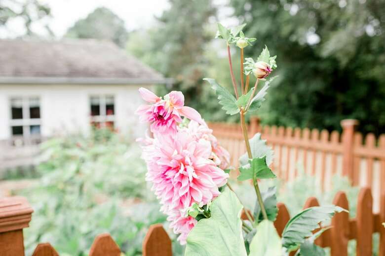 Bed & Breakfast Round Barn Farm B & B Event Center