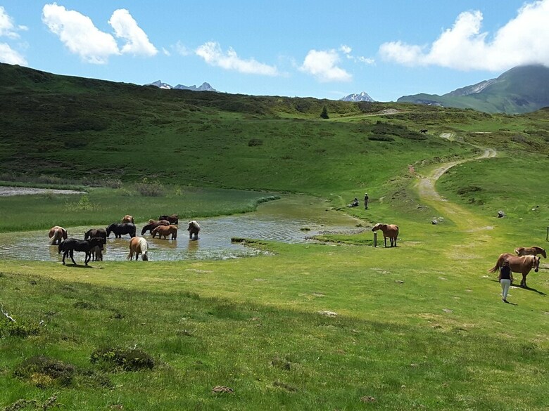 Les Hauts de Hurlevent Cottages