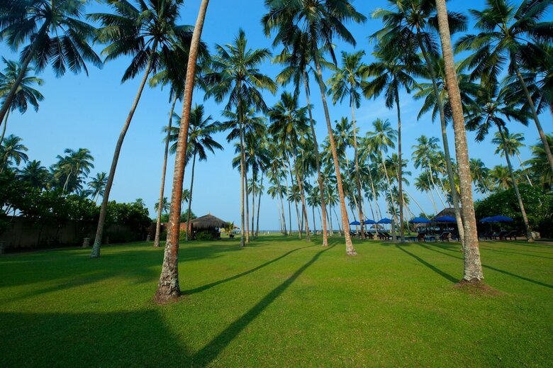 Apartamento Reef Villa & Spa
