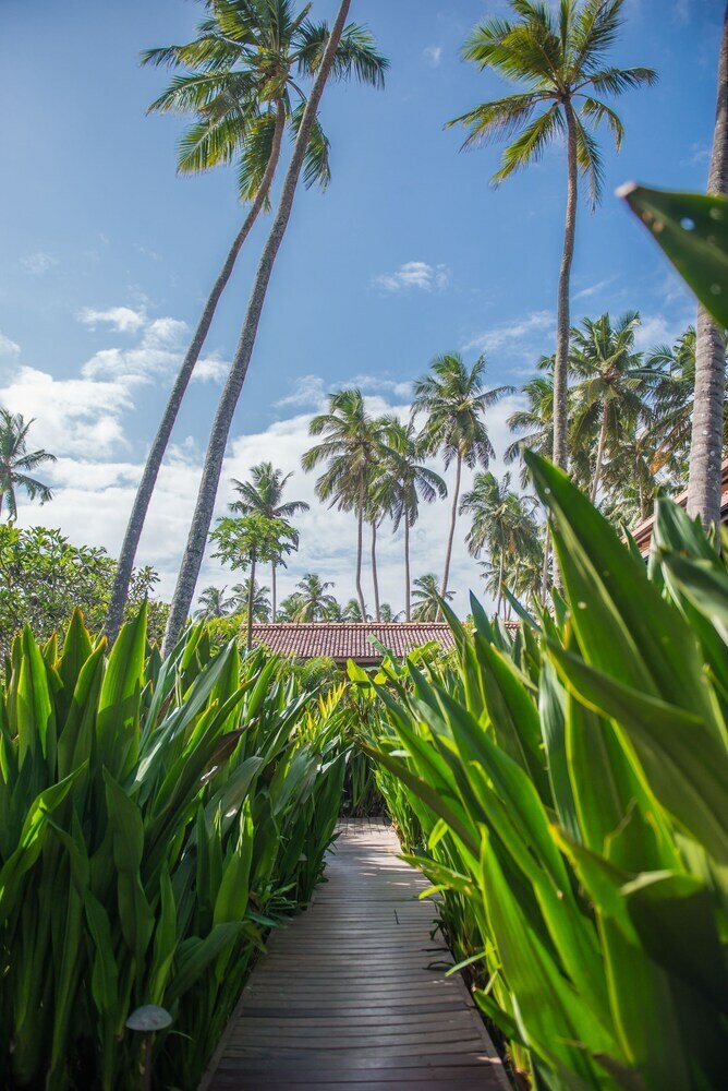 Apartamento Reef Villa & Spa