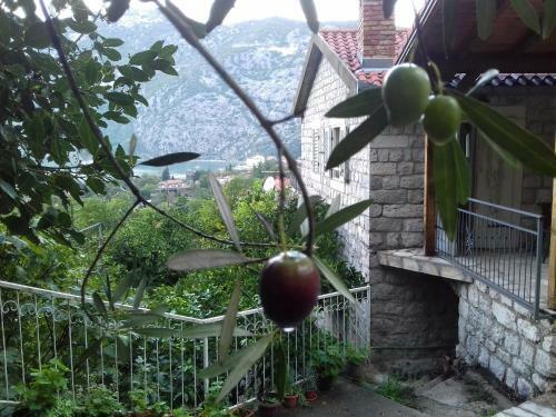 Hostal Villa Rustica