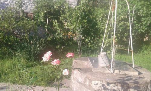 Hostal Villa Rustica