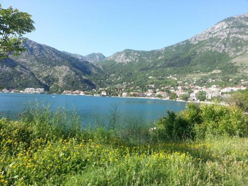 Apartments Vojin