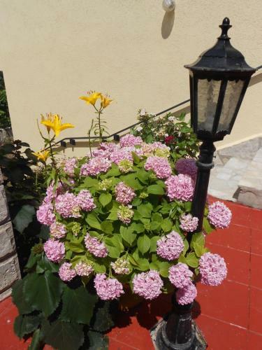 Hostal Lorena Rooms
