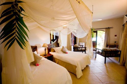 Casa Rex Boutique Hotel
