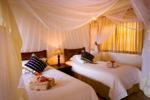 Casa Rex Boutique Hotel