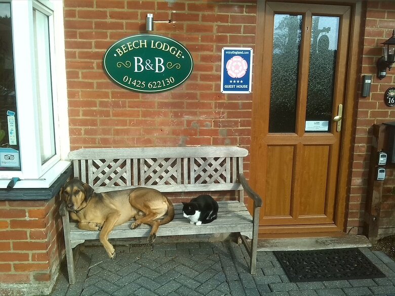 Beech Lodge Bed And Breakfast
