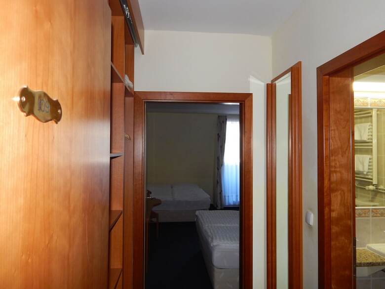 Hotel Alpina