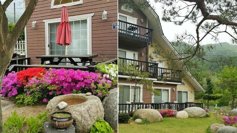 Forest Pension